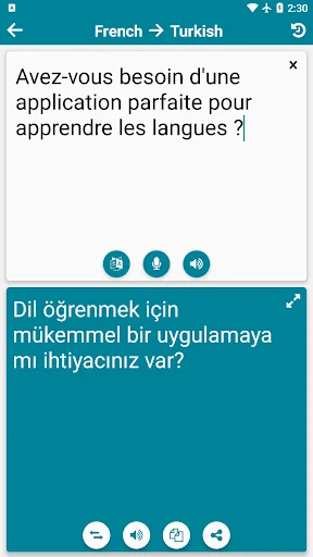 French - Turkish