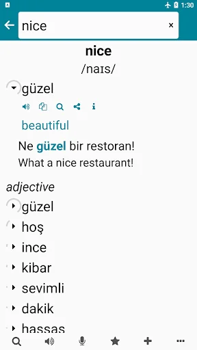 Turkish - English screenshot 2
