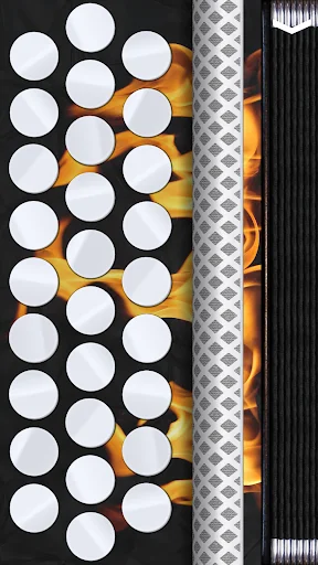 Melodeon (Button Accordion) screenshot 3