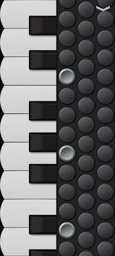 Piano Accordion