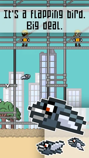Ploppy Pigeon