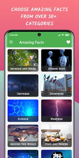 Amazing Facts: Did You Know?