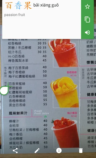 Hanping Chinese Popup OCR screenshot 2