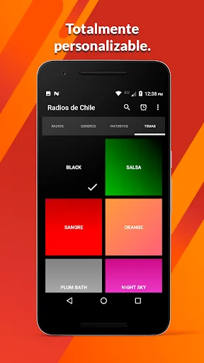 Radios de Chile screenshot 3