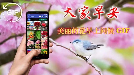 Chinese Morning & Night GIF