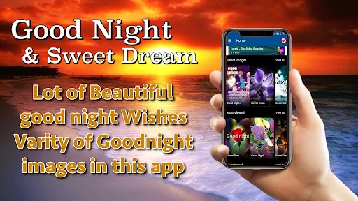 Good Night Sweet Dreams Wishes