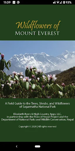 Wildflowers of Mount Everest