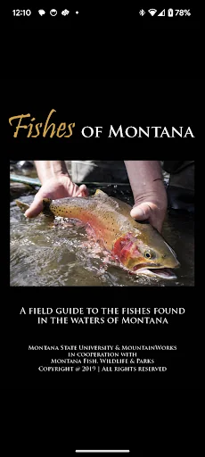 Fishes of Montana