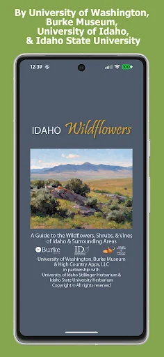 Idaho Wildflowers