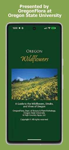 Oregon Wildflowers