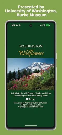 Washington Wildflowers