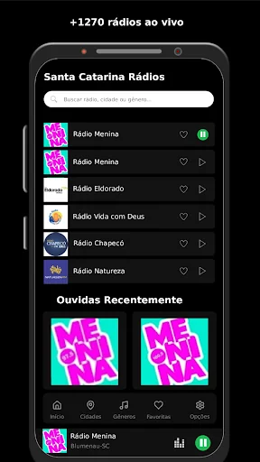 Santa Catarina Rádios screenshot 1