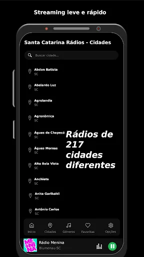 Santa Catarina Rádios screenshot 2