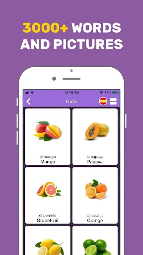 Learn English Vocabulary