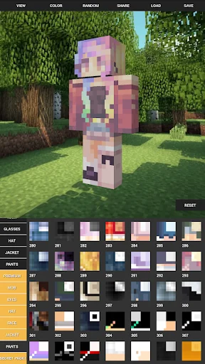 Custom Skin Creator Minecraft screenshot 4