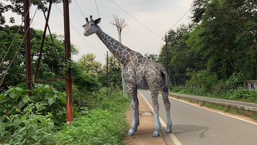 AR Real Animals