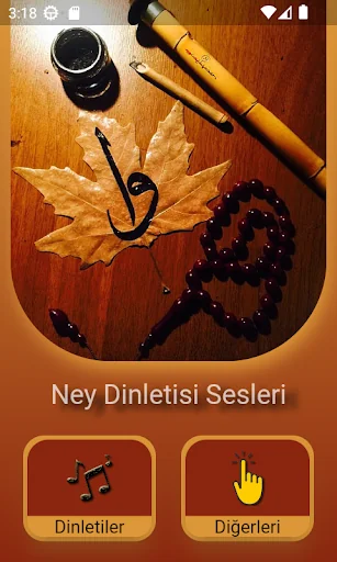 Turkish sufi music concerts