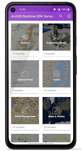 ArcGIS Runtime SDK Sample View