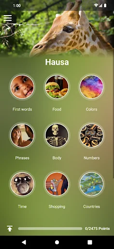 Learn Hausa (Nigerian)