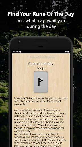 Runic Divination - Runes Tarot screenshot 4