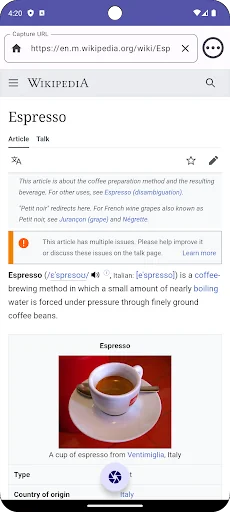 Scroll Capture for Web