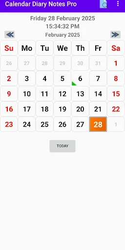 Calendar Diary Notes