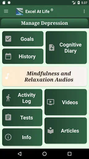 CBT Guide to Depression & Test screenshot 2