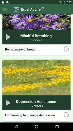CBT Guide to Depression & Test screenshot 4