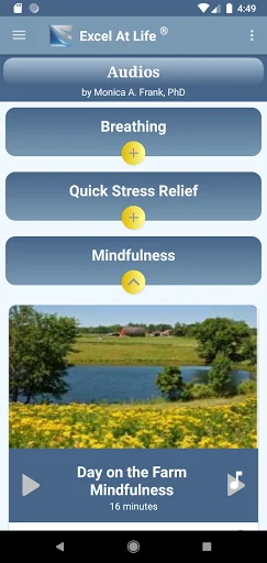Quieting Anxiety: CBT Tools screenshot 4