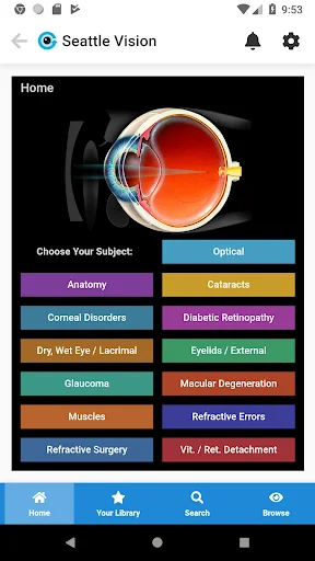 Eye GIFs - Patient Education