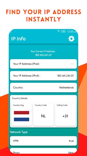 IP Address Details - Net Info