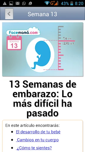 Pregnancy Weeks Calculator screenshot 4