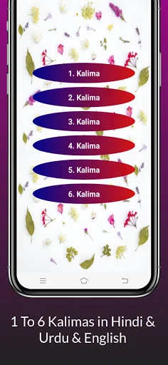 6 Kalma of Islam | Six Kalimas