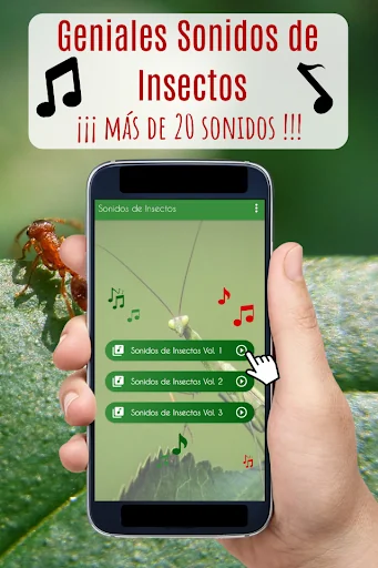 Sonidos de Insectos, zumbidos.