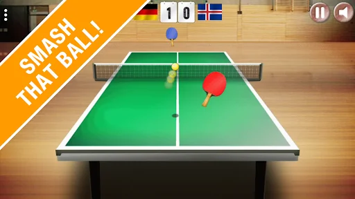 Table Tennis 3D Ping Pong Game