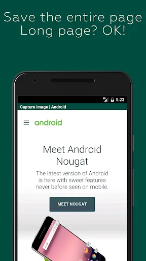 Capture Clipper Extension