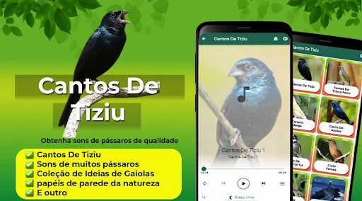 Cantos De Tiziu