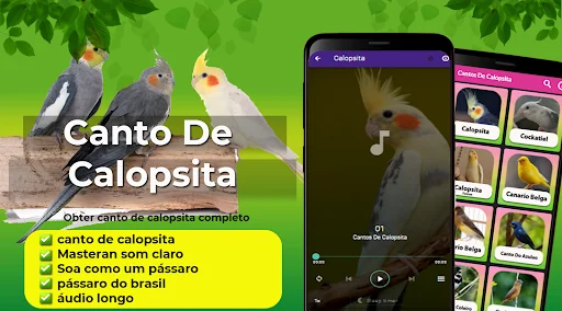 Canto De Calopsita