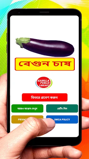 বেগুন চাষ ~Brinjal Cultivation
