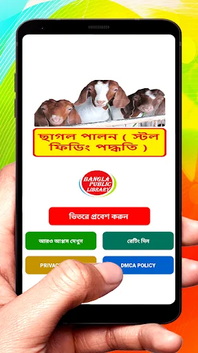 ছাগল পালন (স্টল ফিডিং পদ্ধতি)