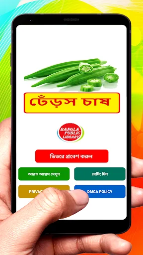 ঢেঁড়স চাষ ~ Okra Cultivation