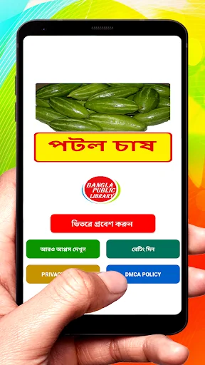পটল চাষের সঠিক পদ্ধতি