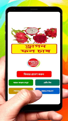 ড্রাগন ফল চাষের পদ্ধতি