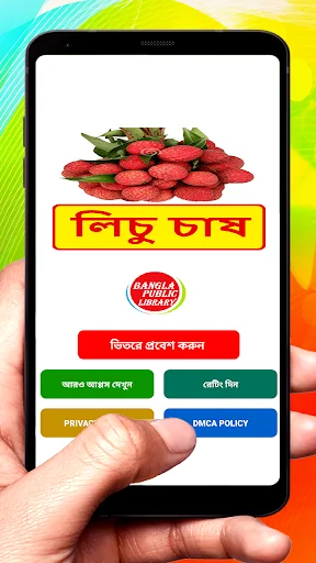 লিচু চাষ ~ Litchi Cultivation