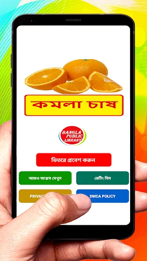 কমলা চাষ ~ Orange Cultivation