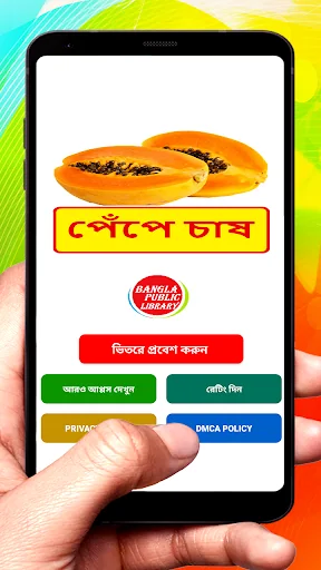 পেঁপে চাষ ~ Papaya Cultivation