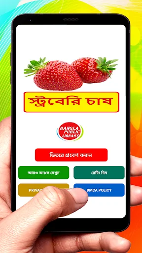 স্ট্রবেরি চাষের পদ্ধতি