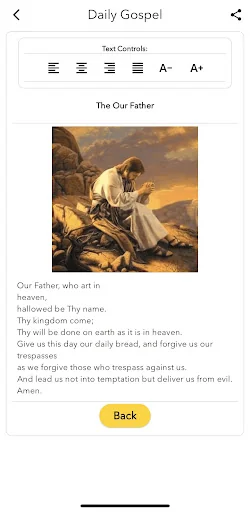Daily Gospel screenshot 4