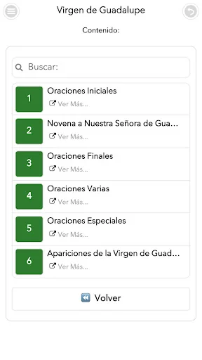 Virgen de Guadalupe screenshot 2