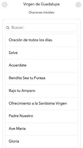 Virgen de Guadalupe screenshot 3